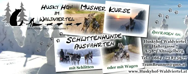 Huskyausfahrt